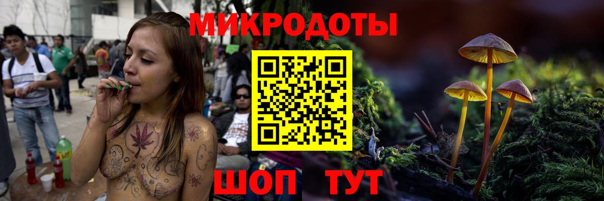 Галлюциногенные грибы Psilocybine cubensis Александров